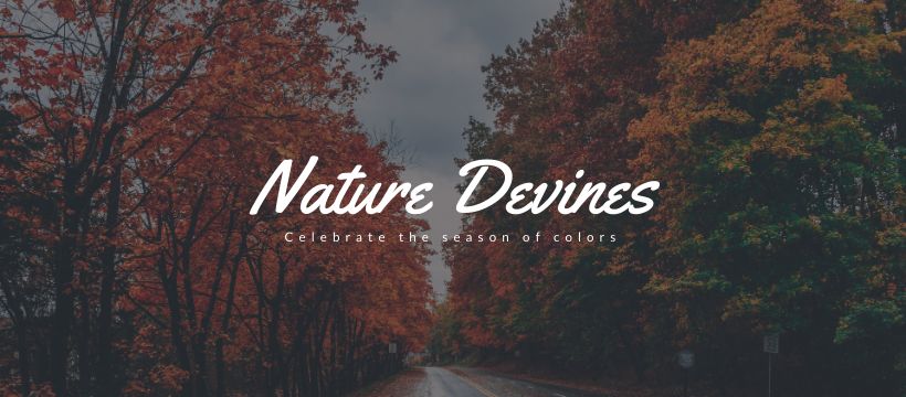 Facebook Cover 2 template. Quickly edit text, colors, images, and more for free.